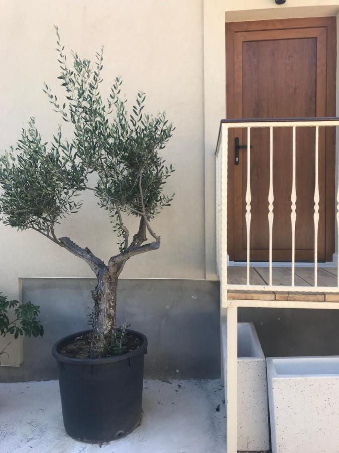 Novem Lejlighed Zadar Eksteriør billede